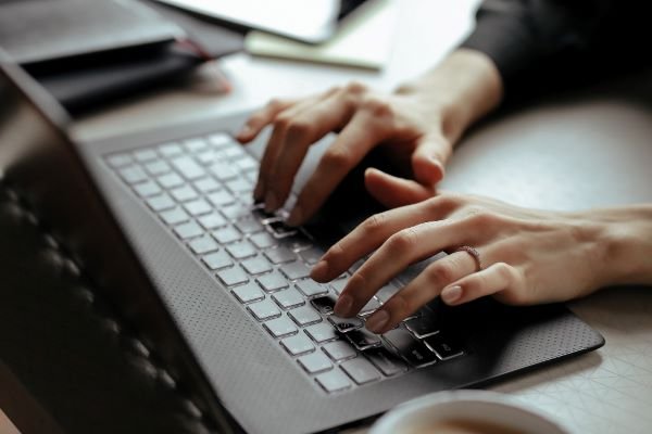 Wordpress Developer